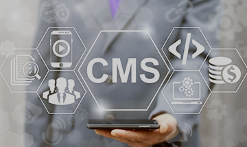 custom web application development singapore